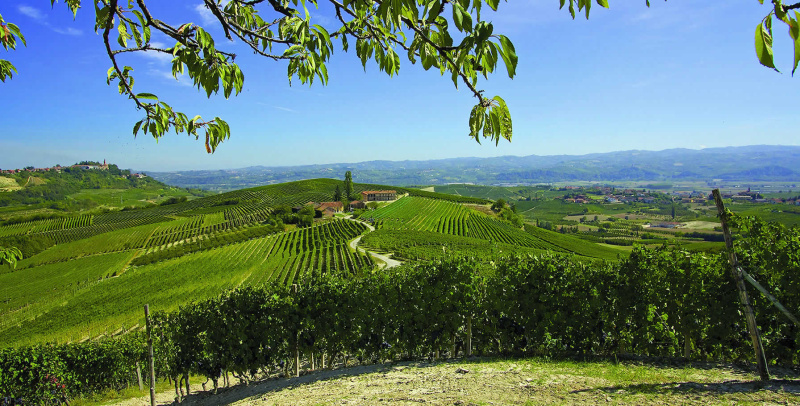 Cascina Chicco