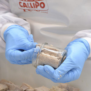 Callipo